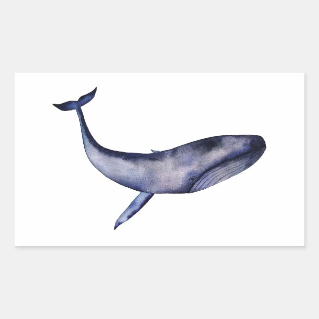 Sticker Rectangulaire Aquarelle Baleine bleue (Devant)