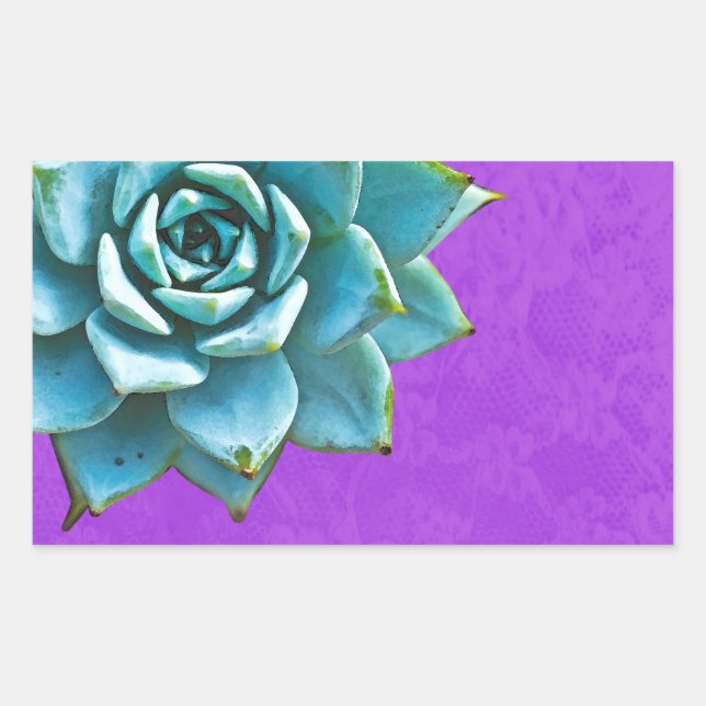 Sticker Rectangulaire Aquarelle Succulente dentelle pourpre (Devant)