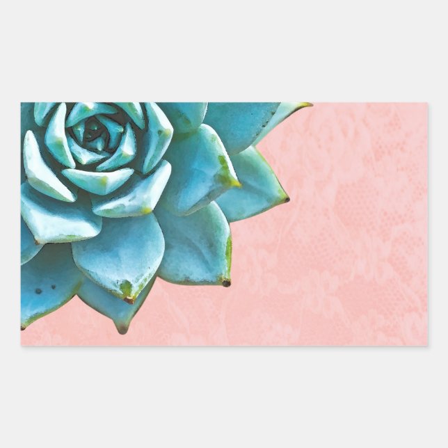 Sticker Rectangulaire Aquarelle Succulente Dentelle rose (Devant)