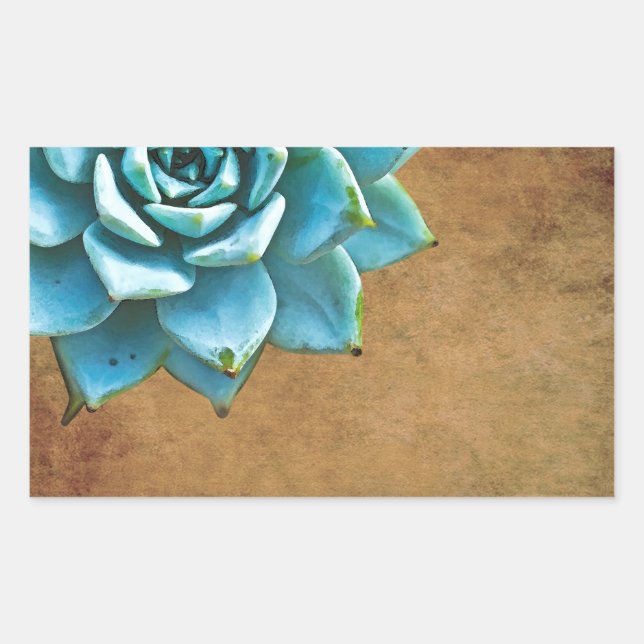 Sticker Rectangulaire Aquarelle Succulente Rustique Brown (Devant)