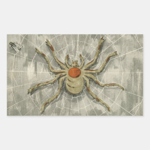 Sticker Rectangulaire Araignée d'Halloween vintage dans son Web avec une