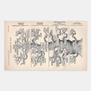 Sticker Rectangulaire "Arbre de vie" 1859 illustration par Ernst Haeckel