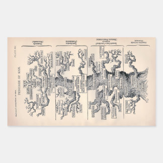 Sticker Rectangulaire "Arbre de vie" 1859 illustration par Ernst Haeckel