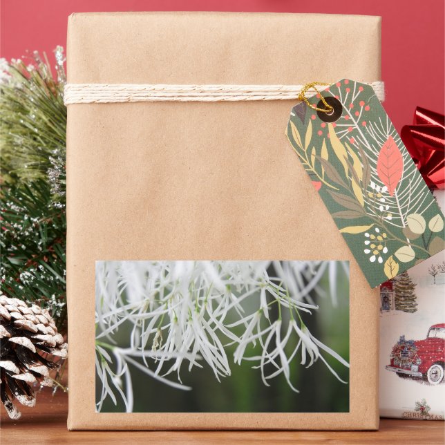 Sticker Rectangulaire Arbre frange (Chionanthus virginicus) (vacances)