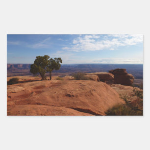Sticker Rectangulaire Arbre hors des rochers rouges dans le parc nationa