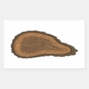 Sticker Rectangulaire Arbre Tronc de tronc Section Cercles de Croissance