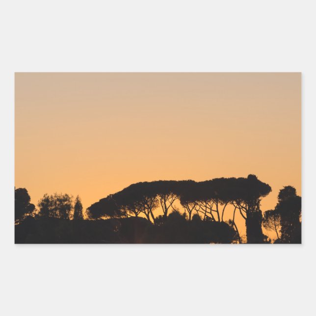 Sticker Rectangulaire Arbres au coucher du soleil dans le rétroéclairage (Devant)
