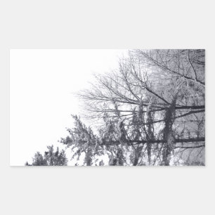 Sticker Rectangulaire Arbres couverts de neige : Verticaux