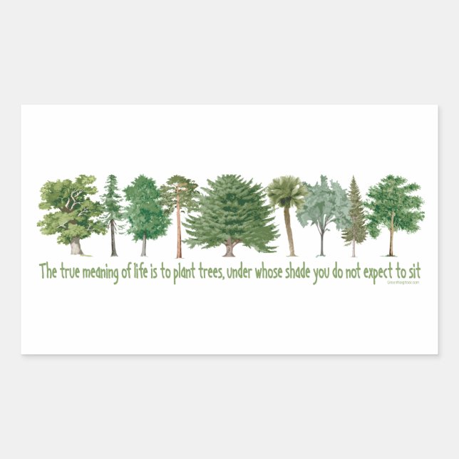 Sticker Rectangulaire Arbres plantes (Devant)
