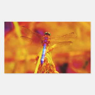 Sticker Rectangulaire Arc-en-ciel libellule sur ambre et fuschie