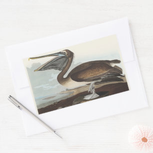Sticker Rectangulaire Art vintage d'oiseau côtier de Pélican brun d'Audu
