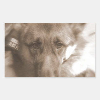 Sticker Rectangulaire Atlas le chien des merveilles