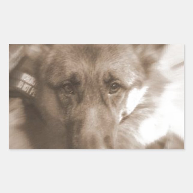 Sticker Rectangulaire Atlas le chien des merveilles (Devant)