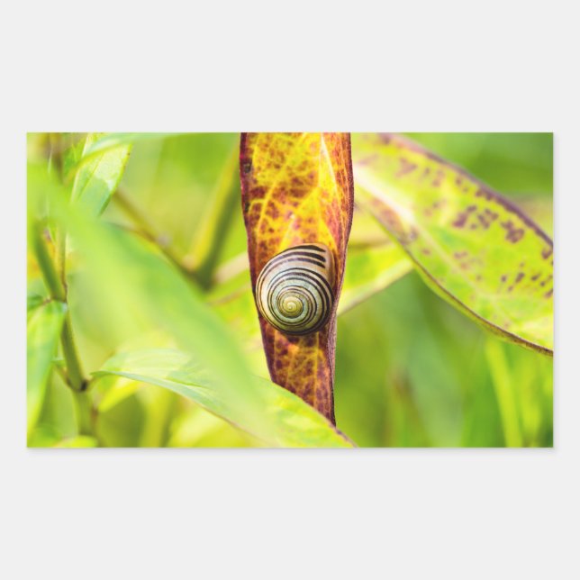 Sticker Rectangulaire attachement calme (Devant)