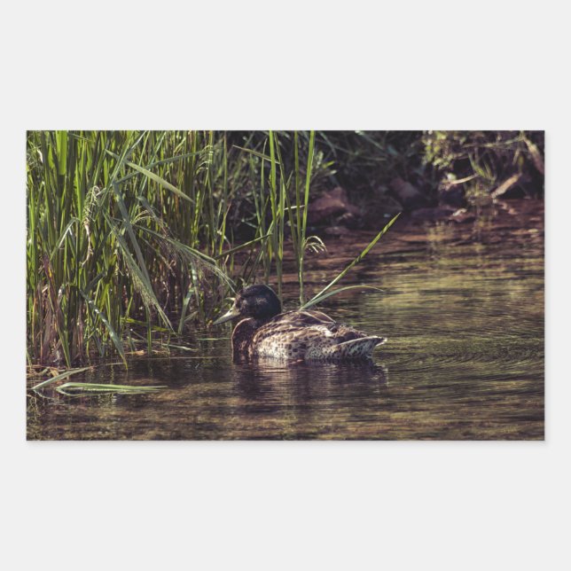 Sticker Rectangulaire Au bord de l'étang (Devant)