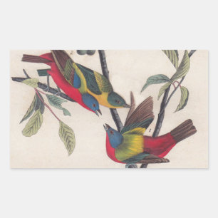 Sticker Rectangulaire Audubon Peint Bunting Bird Wildlife