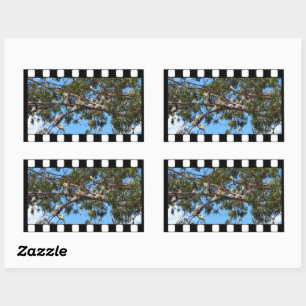 Sticker Rectangulaire Australian Vintage Cockatoos Photo,