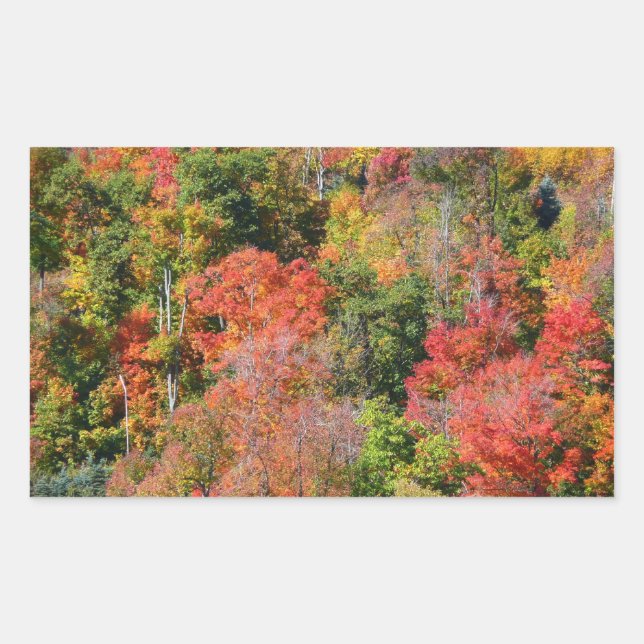 Sticker Rectangulaire Automne Hillside Colorful Automne Nature Photograp (Devant)