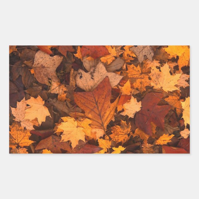 Sticker Rectangulaire Autum Feuille (Devant)