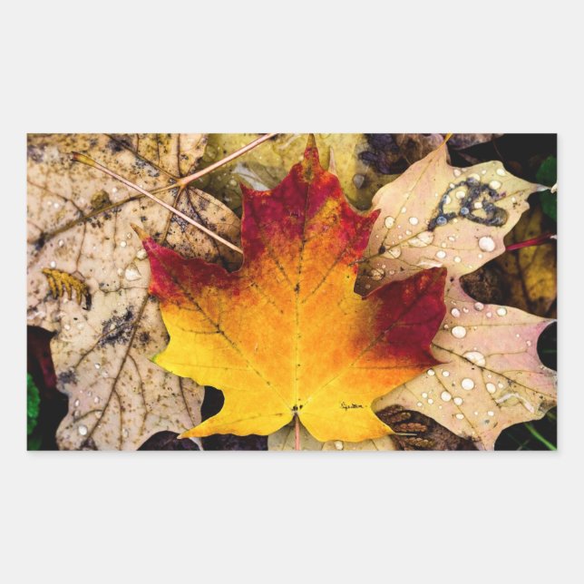 Sticker Rectangulaire autumn presence (Devant)
