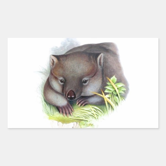 Sticker Rectangulaire Awesomome mignon animal australien wombat vintage (Devant)