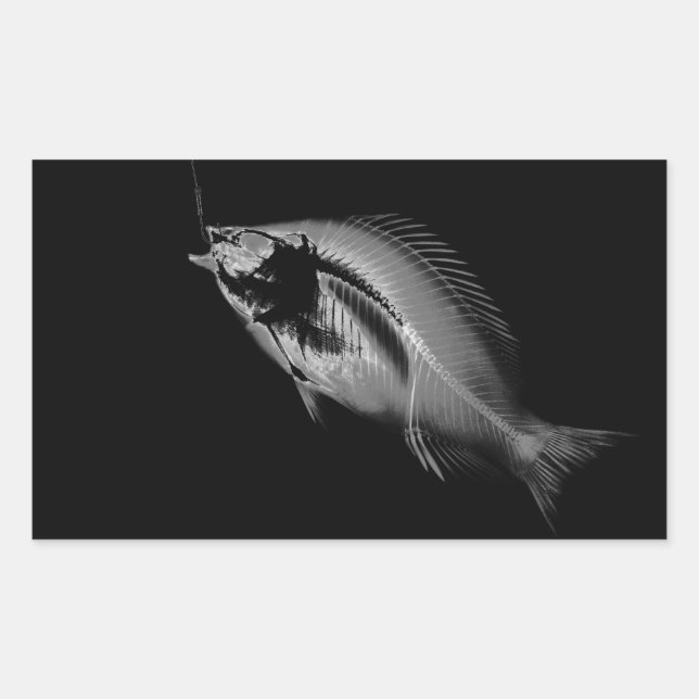Sticker Rectangulaire B&W X-Ray Fish Bones (Devant)