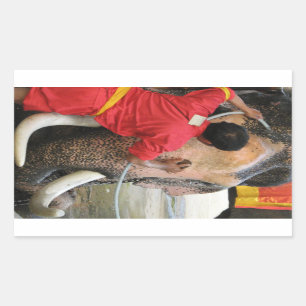 Sticker Rectangulaire Bain Eléphant ... Ayutthaya, Thaïlande