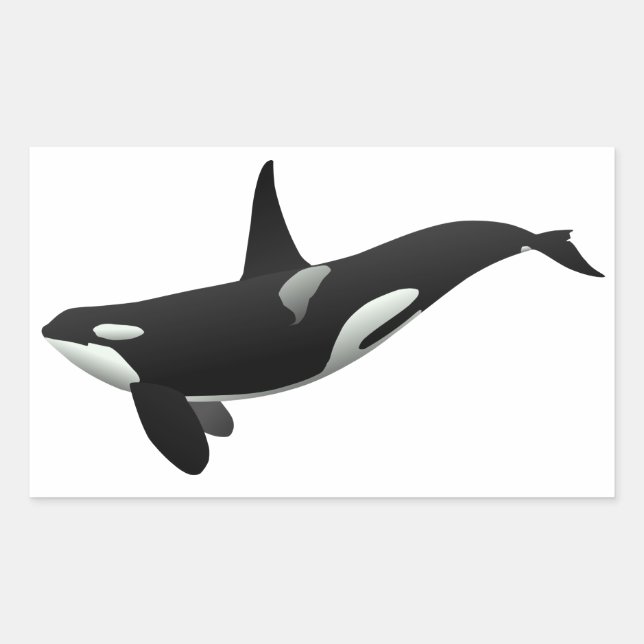 Sticker Rectangulaire Baleine noire et blanche tueuse à Orca (Devant)