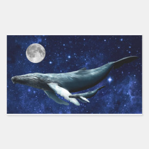 Sticker Rectangulaire Baleine spatiale