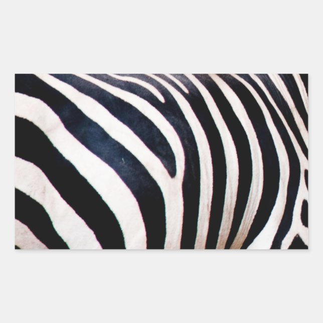Sticker Rectangulaire Bandes zèbres (Devant)