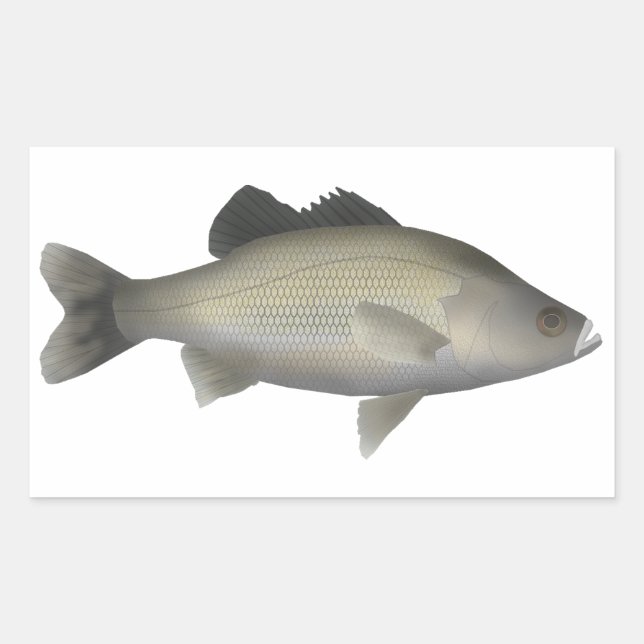 Sticker Rectangulaire Basse Australie (Devant)