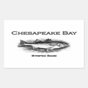 Sticker Rectangulaire Basse rayée de la baie de Chesapeake