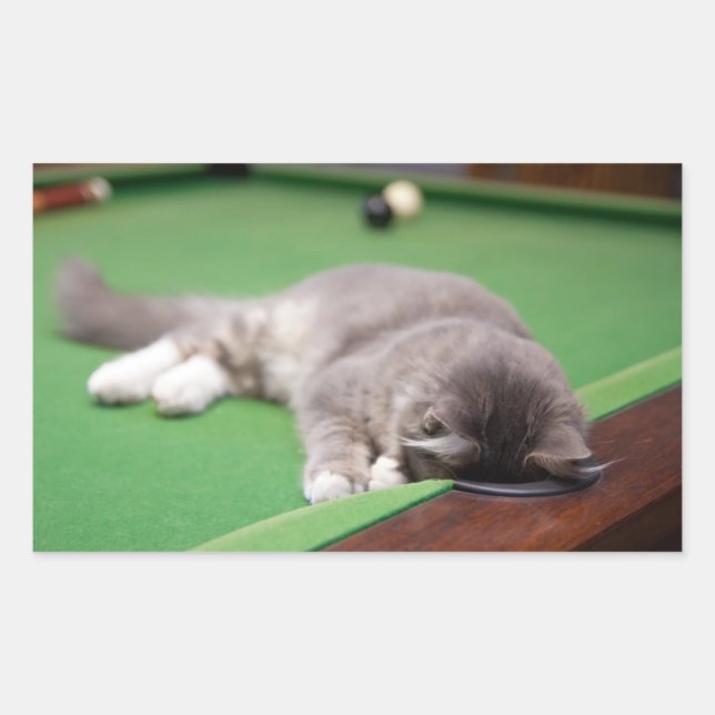 Sticker Rectangulaire Bassin de jeu Kitten (Devant)