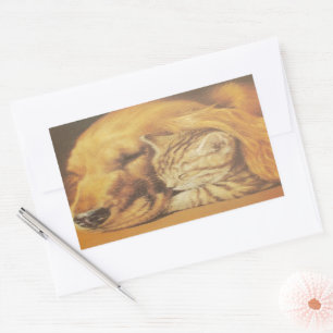 Sticker Rectangulaire Beau art Extraordinaire de chats et de chats de ch