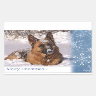 Sticker Rectangulaire Beau chien de berger allemand dans la neige