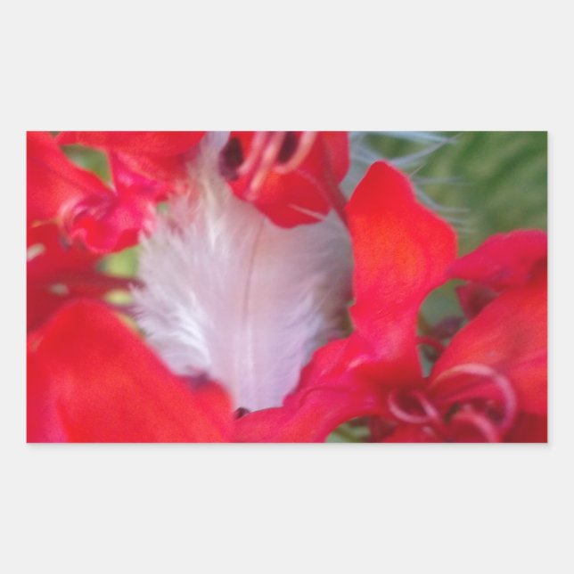 Sticker Rectangulaire Beauté délicate : Fleur rouge avec plumes blanches (Devant)
