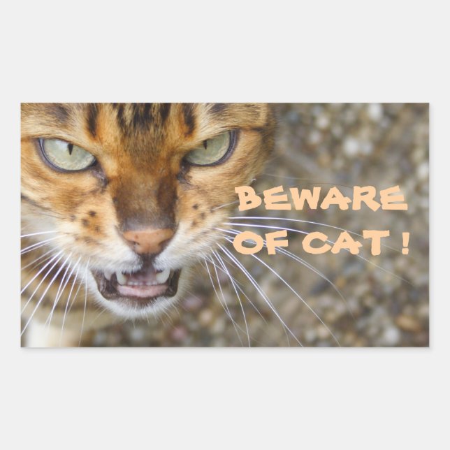 Sticker Rectangulaire Belle Chat Bengale (Devant)