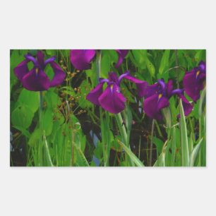 Sticker Rectangulaire Belle Iris Violet