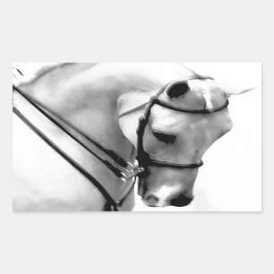 Sticker Rectangulaire Belle tête de cheval blanc
