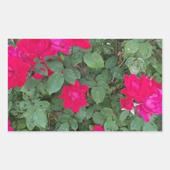 Sticker Rectangulaire Belles Fleurs (Devant)