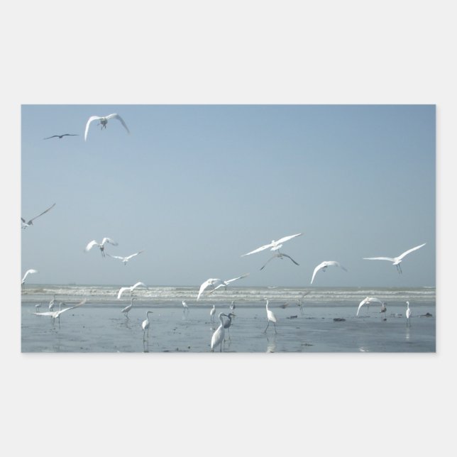 Sticker Rectangulaire Belles grues volant au-dessus de l'eau Ballet de l (Devant)