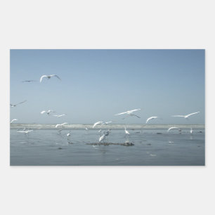 Sticker Rectangulaire Belles grues volant au-dessus de l'eau Ballet de l