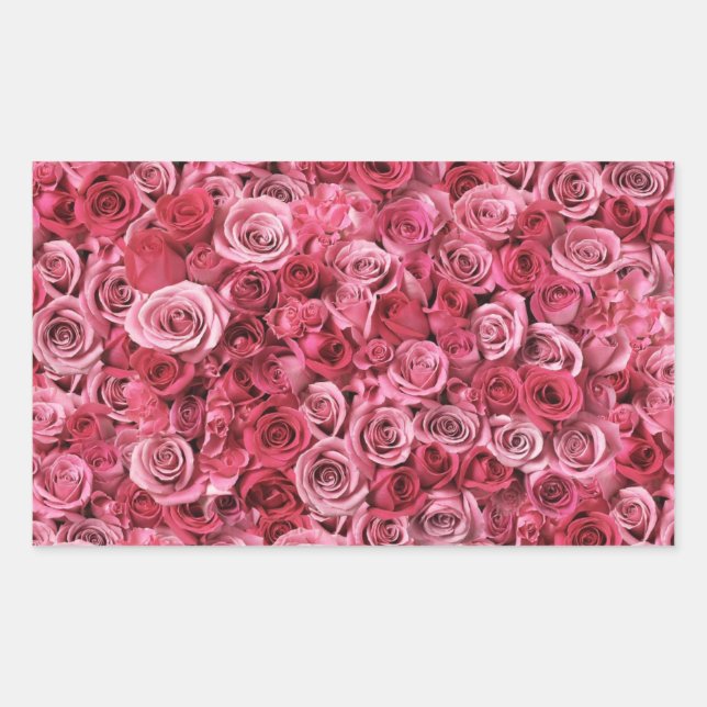 Sticker Rectangulaire Belles roses roses roses (Devant)