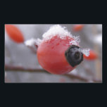 Sticker Rectangulaire Berries d'hiver<br><div class="desc">berry winter season christmas snow frost frost enee bush outside</div>