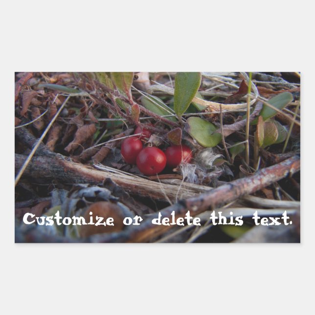 Sticker Rectangulaire Berries et brindilles; personnalisables (Devant)