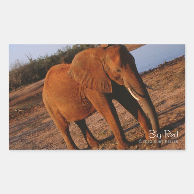 Sticker Rectangulaire Big Red (Devant)