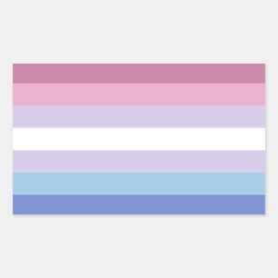 Sticker Rectangulaire Bigender Pride