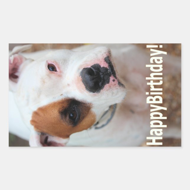 Sticker Rectangulaire Birthday Boop (Devant)
