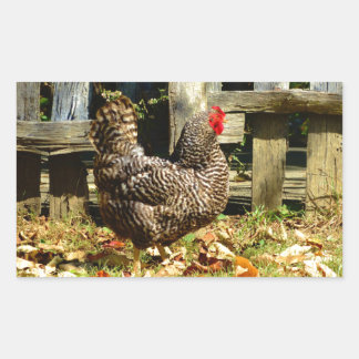 Sticker Rectangulaire Black and white chicken