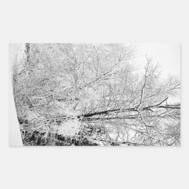 Sticker Rectangulaire Blancs d'hiver (Devant)